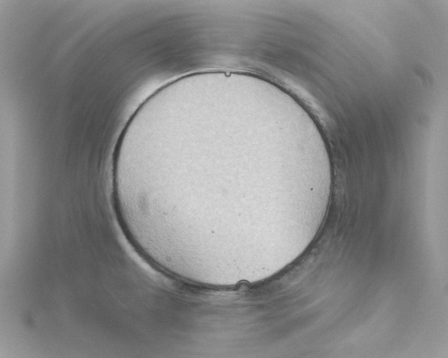 X0000114531479200911161327