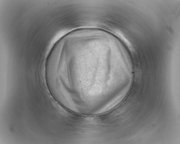 X0000114531480200911161327