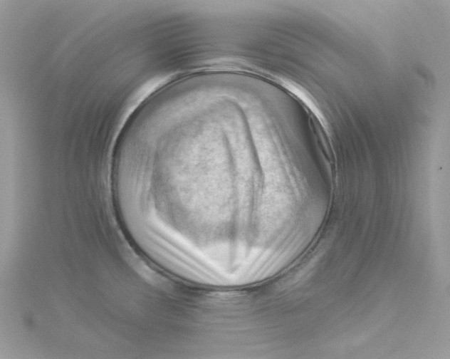 X0000114531482200911161326