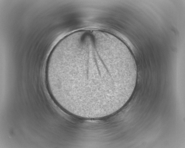 X0000114531483200911161326