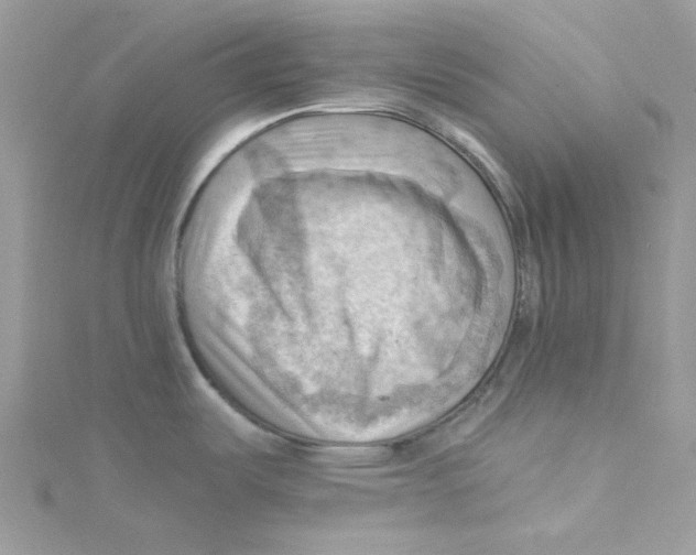 X0000114531487200911161326