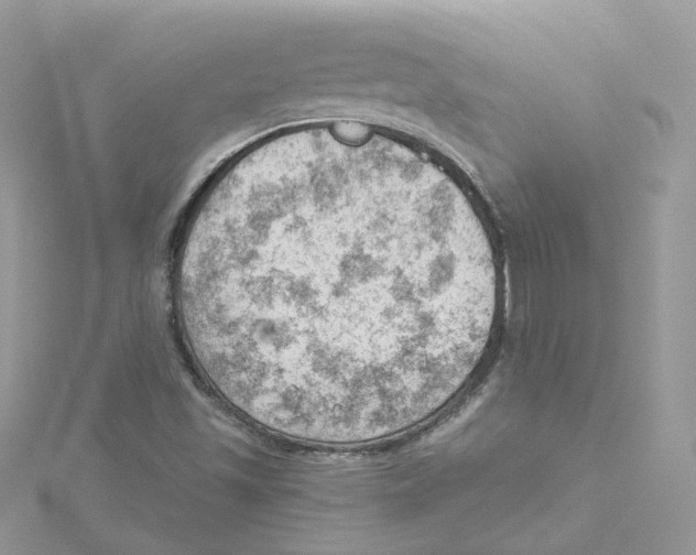 X0000114531501200911161326