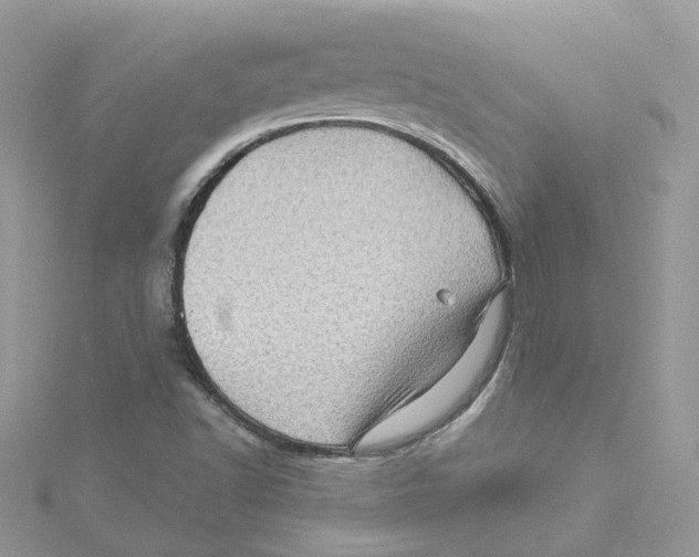 X0000114531502200911161326