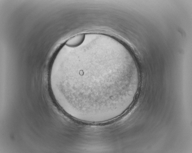 X0000114531506200911161326