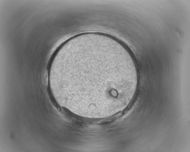 X0000114531509200911161326