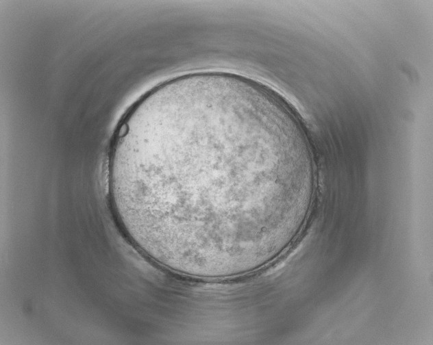 X0000114531510200911161326