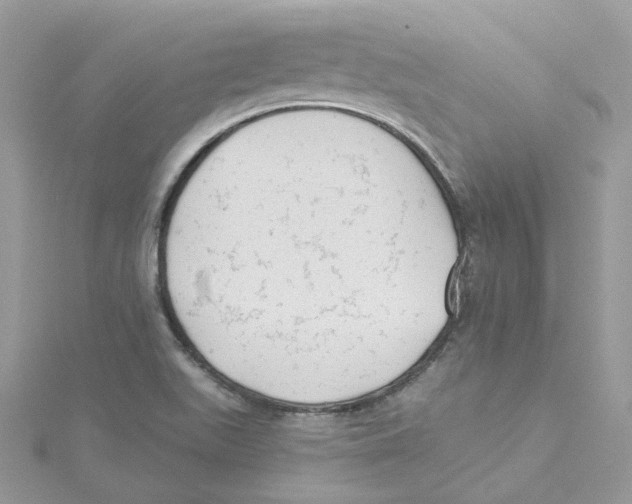 X0000114531511200911161326