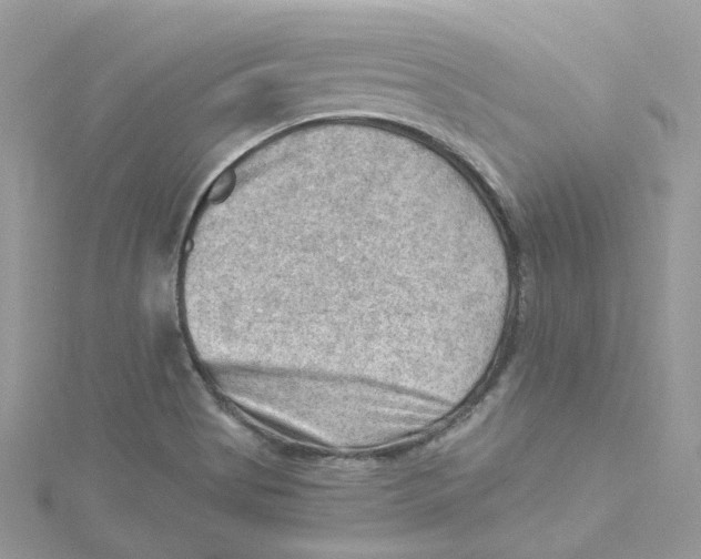 X0000114531513200911161326