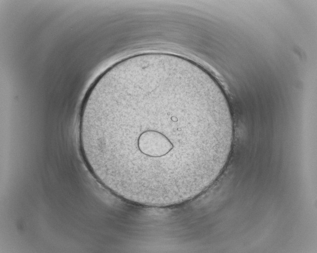 X0000114531514200911161326