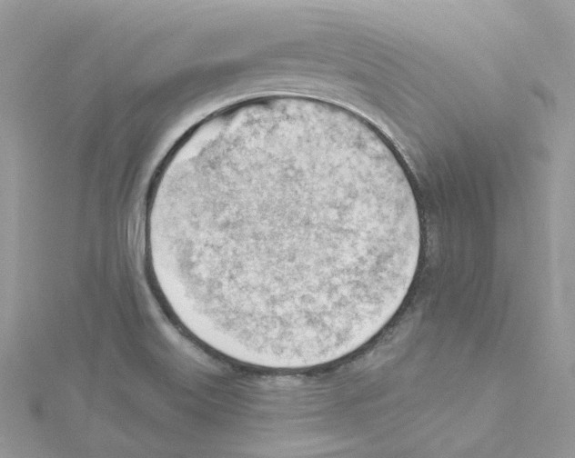 X0000114531515200911161326