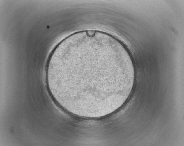 X0000114531517200911161326