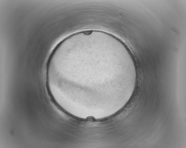 X0000114531519200911161326