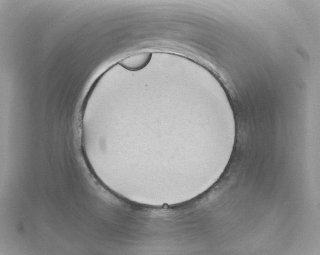 X0000114531522200911161326