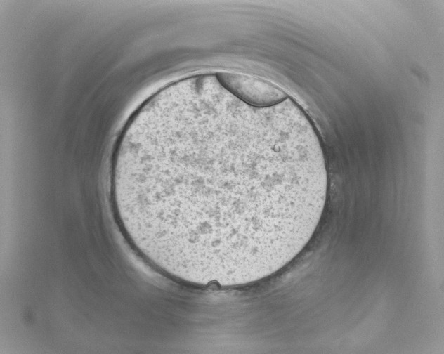 X0000114531523200911161326