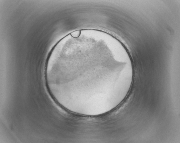 X0000114531525200911161326