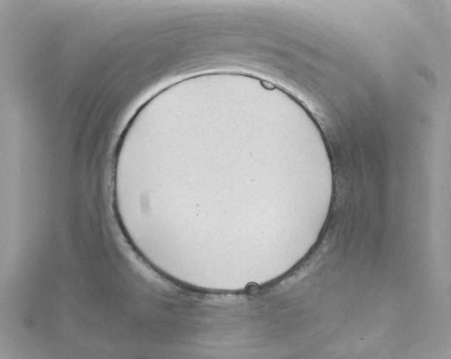 X0000114531526200911161326