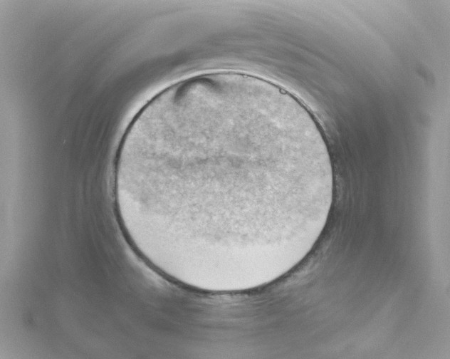 X0000114531527200911161326