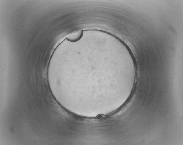 X0000114531529200911161326