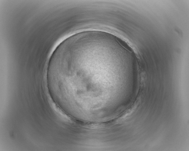 X0000114531530200911161326