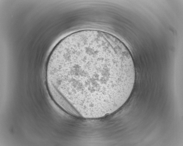 X0000114531531200911161326