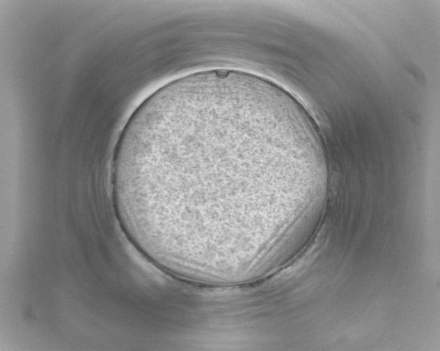 X0000114531535200911161326