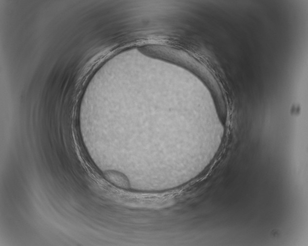 X0000114530001200911301149