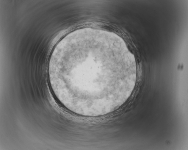 X0000114530003200911301149