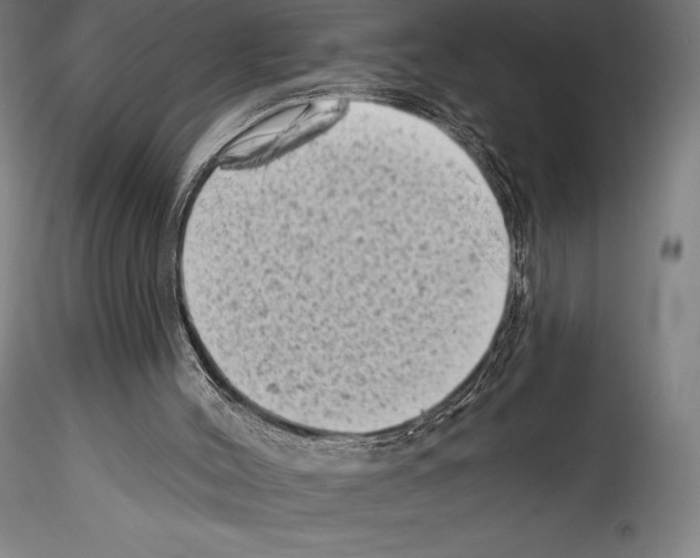X0000114530004200911301149