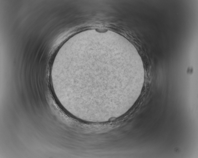 X0000114530005200911301149