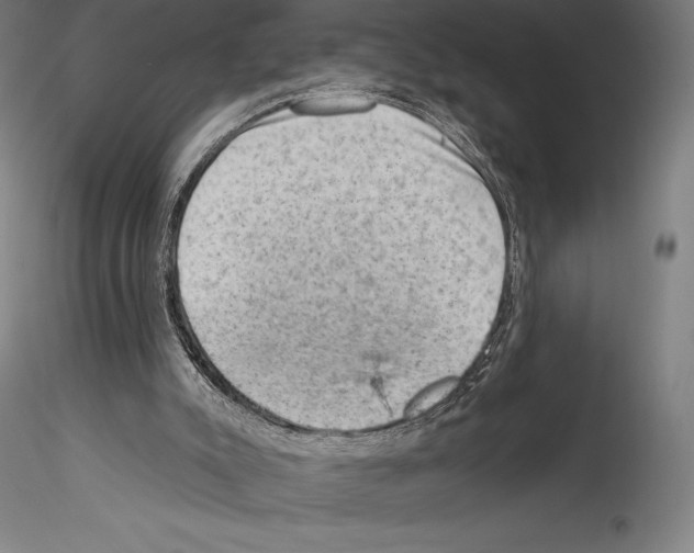 X0000114530007200911301149