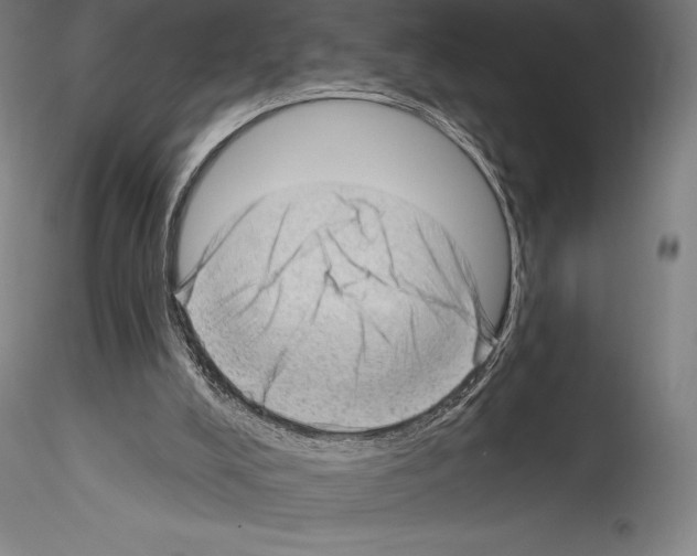 X0000114530008200911301149