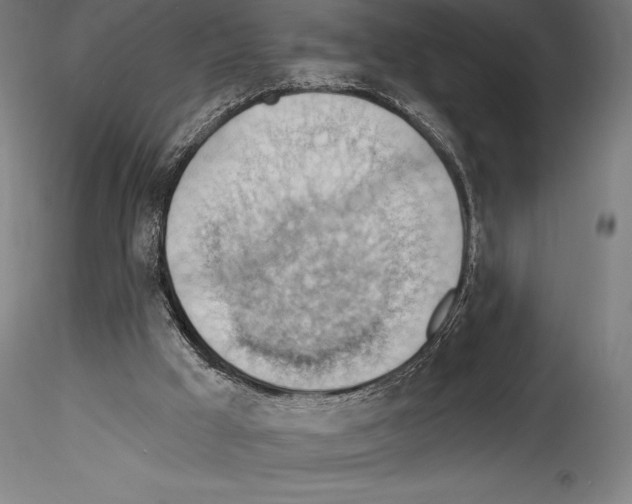 X0000114530009200911301149