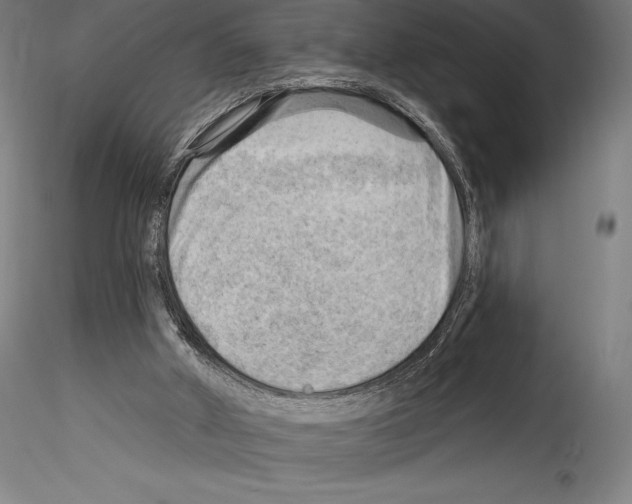 X0000114530010200911301149