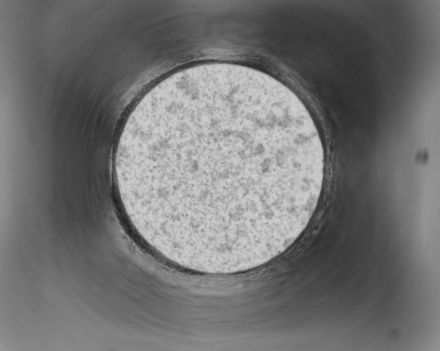 X0000114530011200911301149