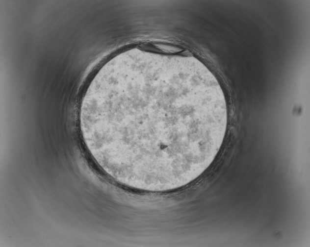 X0000114530012200911301149