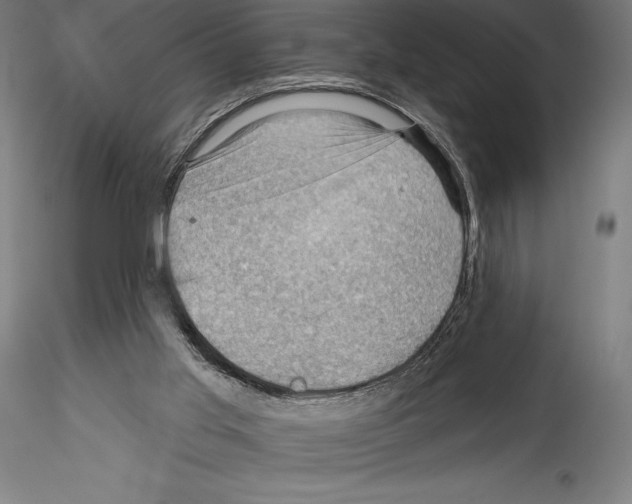 X0000114530013200911301149
