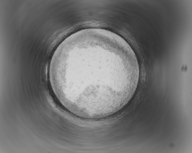 X0000114530014200911301149