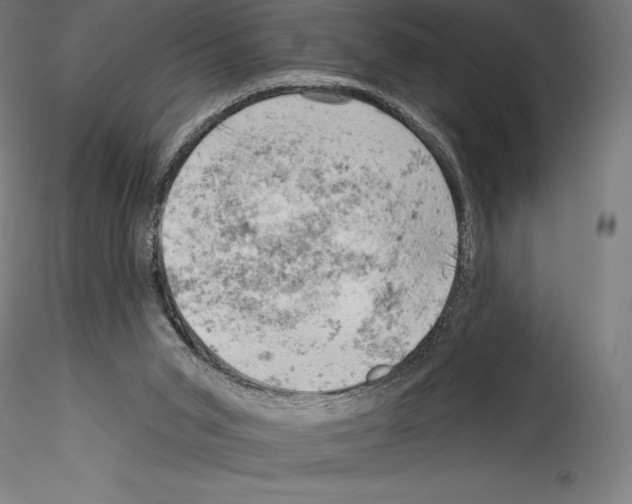 X0000114530015200911301149