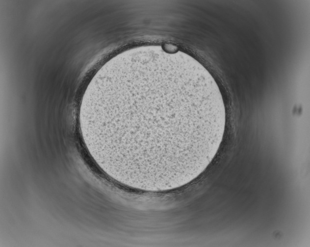 X0000114530016200911301149
