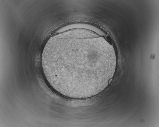 X0000114530017200911301149