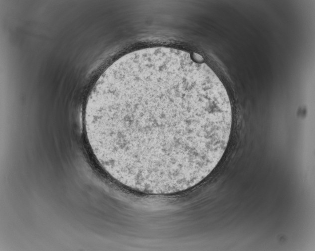 X0000114530020200911301148