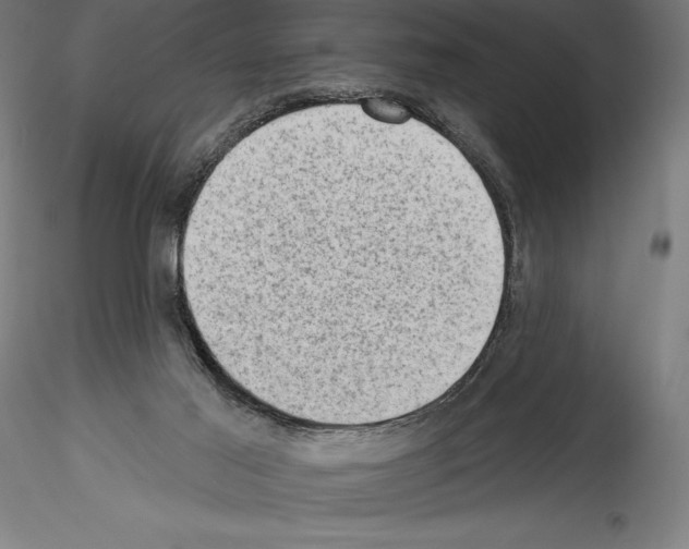 X0000114530021200911301148