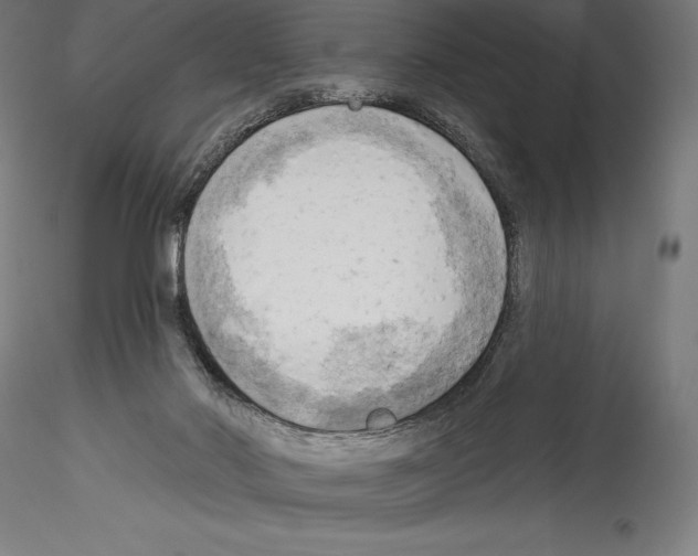 X0000114530022200911301148