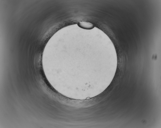 X0000114530023200911301148