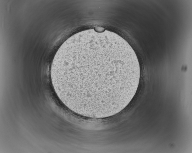X0000114530024200911301148
