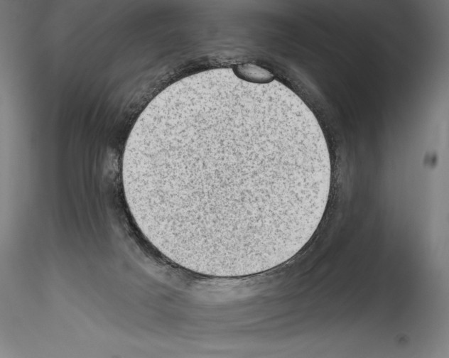 X0000114530025200911301148
