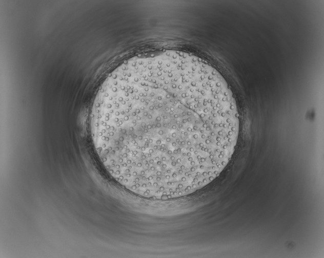 X0000114530026200911301148