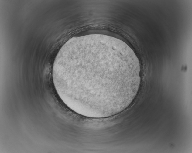 X0000114530029200911301148