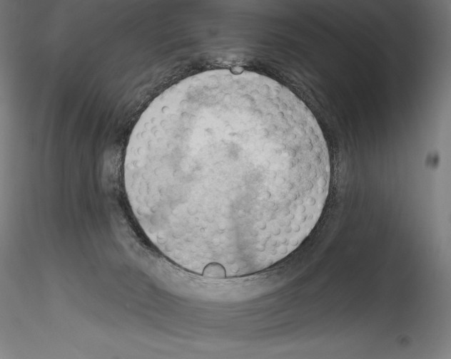 X0000114530030200911301148