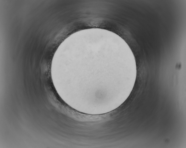 X0000114530031200911301148
